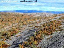 yllastunturin-syksyinen-ruskamaisema