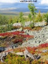 haavepalon-tunturimaisema