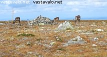 porot-tunturissa