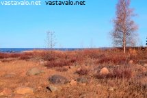 lannenrannnan-lippusaarenruska