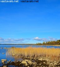 martinkarvon-rantaa-ja-jarviruoot-ruskavareissa