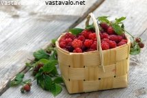 metsavadelmat