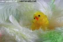 paasiaistipu