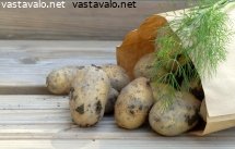 multaperunoita