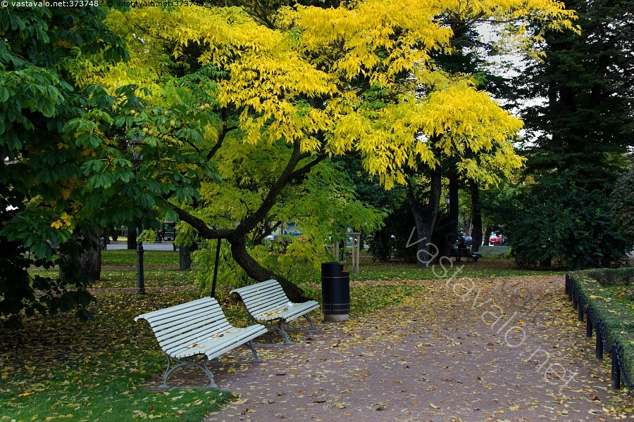 Kuva: Puiston penkit syysmaisemassa - syksy syksyinen kaupunkimaisema