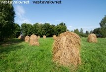 heinat-seipaalla