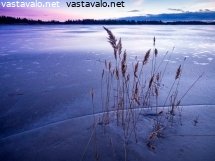 talviilta