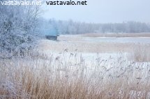tammikuun-maisema