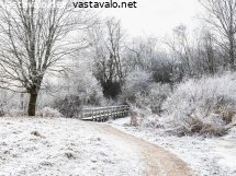 talvimaisema