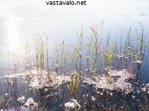 uutta-jaata