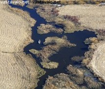 hauenpyytaja
