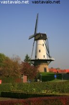 hollantilainen-tuulimylly