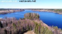 ingonsaari