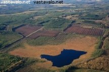 kakkurinneva