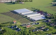 kasvihuoneyritys-kauhajoella
