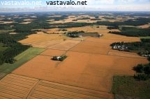 kypsaa-viljaa