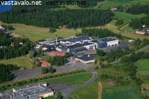 saarioinen
