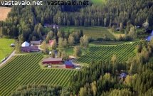 marjatila