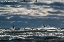 surf