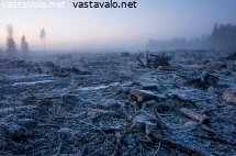hakkuuaukea-sumuisessa-illassa