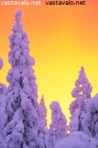 lapin-kaunis-kaamos-7