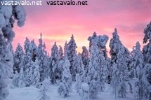 lapin-kaamos-8