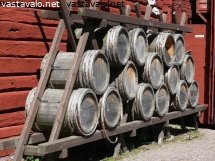 tervatynnyrit