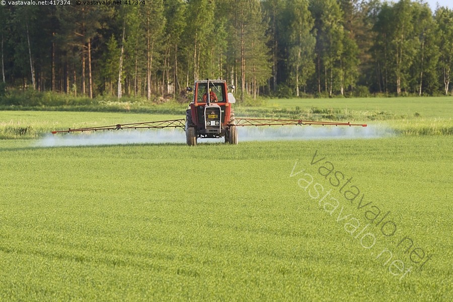 ruiskuttaminen kuva