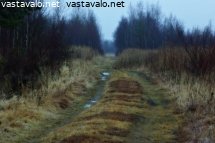 metsatie-i