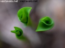 taalta-taas-tullaan-kesa