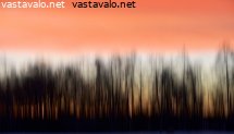 impressio-joulukuun-illasta