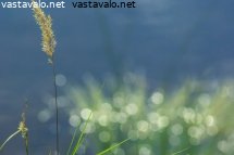 keijujen-uimapaikka