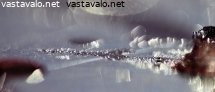 avaruusmaisema