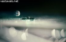 vihrea-planeetta