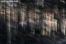 mantymetsan-taikaa