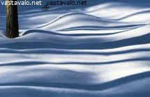 metsan-talvi