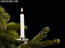 kuusenkynttila
