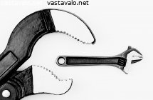 saalistaja