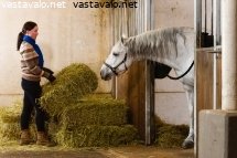 heinaa-hevoselle