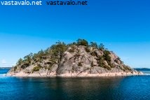 kalvi