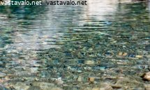 purovetta