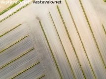 kevainen-pelto