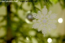 koristehiutale-kuusessa