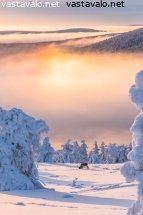 tunturimaisemaa