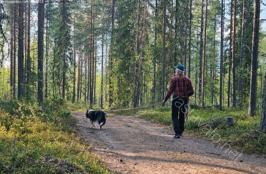 kuva-koiran-kanssa-ihminen-mies-koira-yhdess-kaksi-kaksin