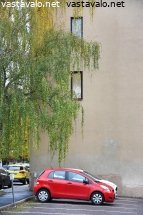 punainen-auto