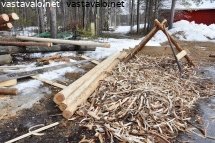 mokkipuiden-kuorintapaikka