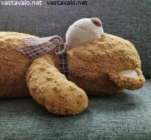 halinalle