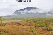 isomalla