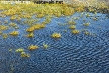 tyrskyjen-muodostama-merenrannan-latakko